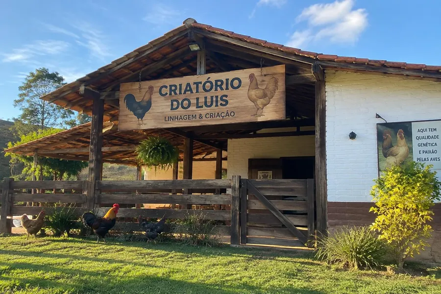 Fachada del Criatório do Luis, con letrero de madera y gallinas en el corral